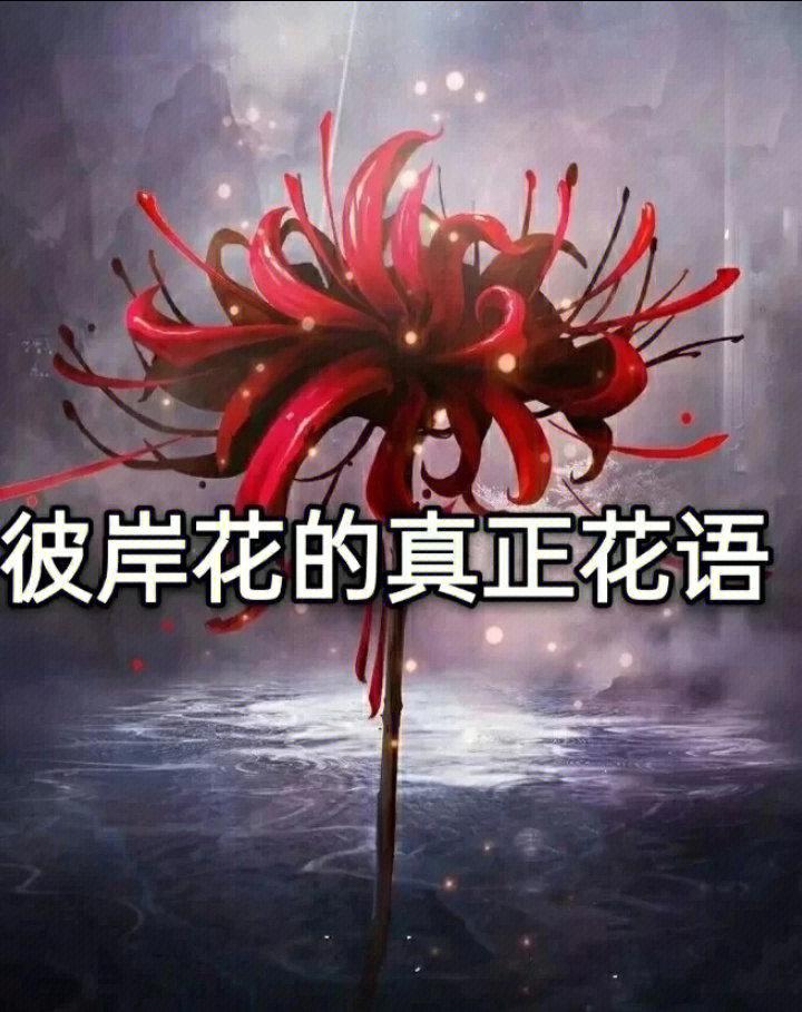 彼岸花：游戏炸弹，引爆全圈！