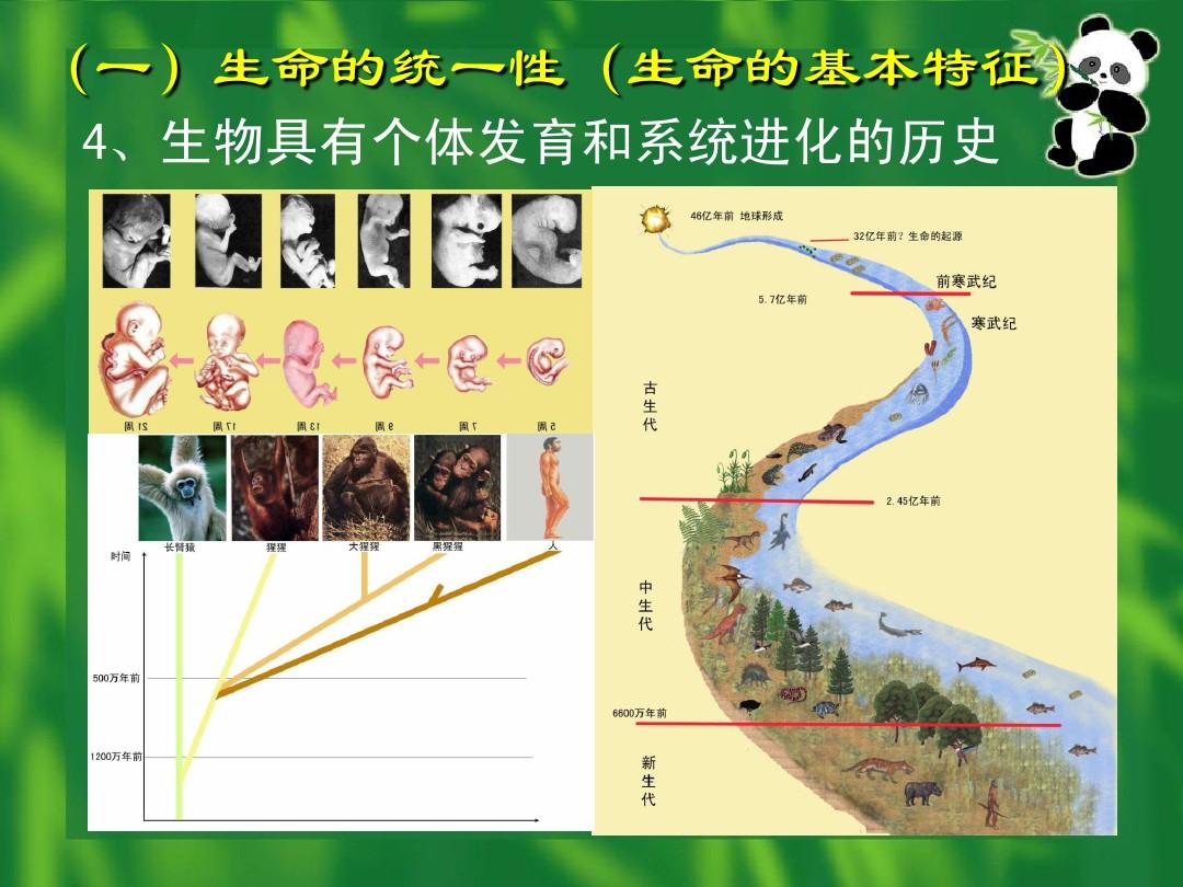 达尔文进化论游戏_达尔文书籍《进化论》_进化论达尔文的进化论