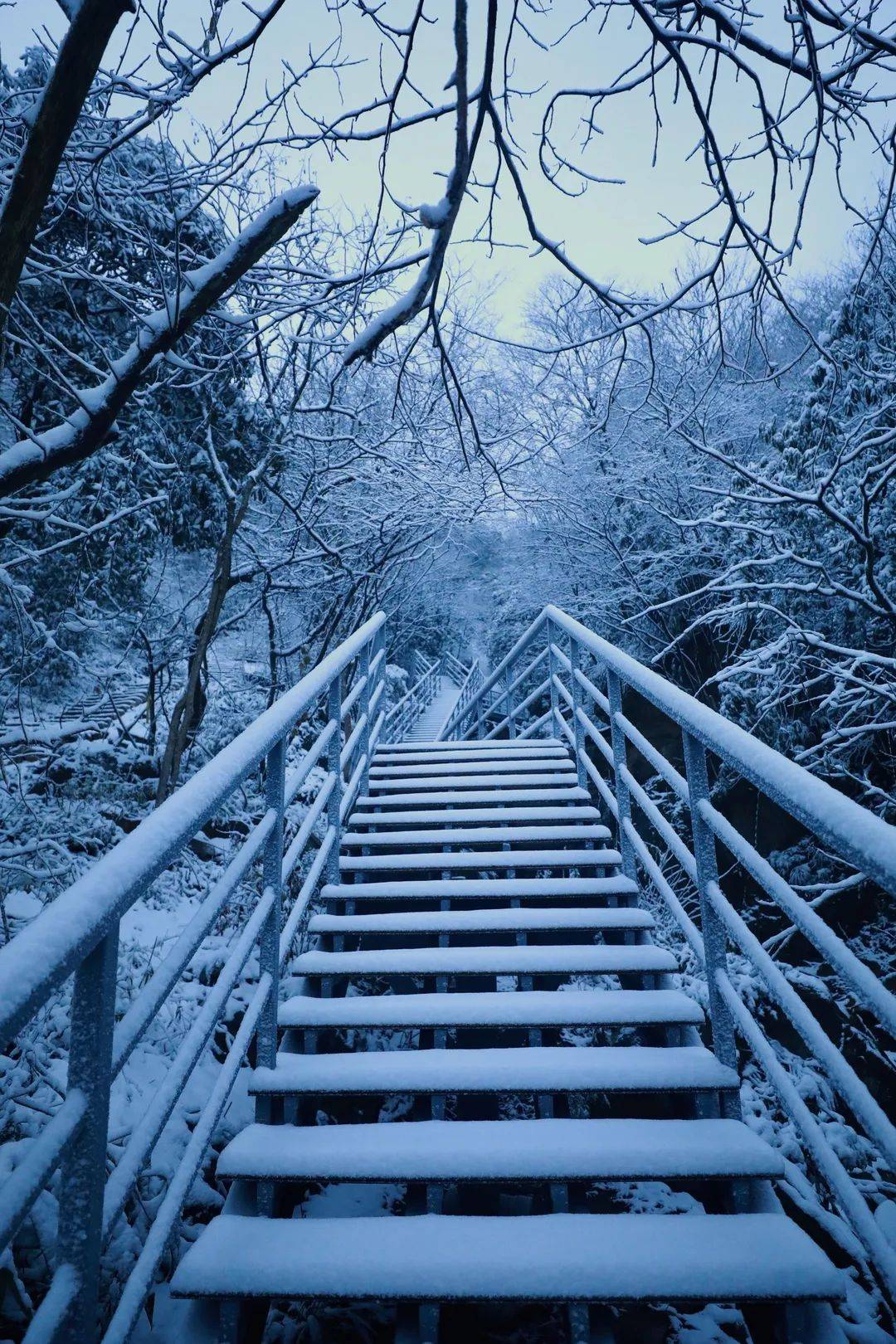 东方夜神雪剧情_东方夜神雪_东方夜神雪ue下载
