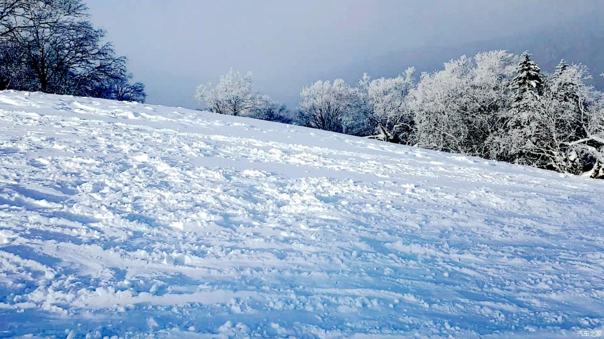 东方夜神雪_东方夜神雪ue下载_东方夜神雪剧情