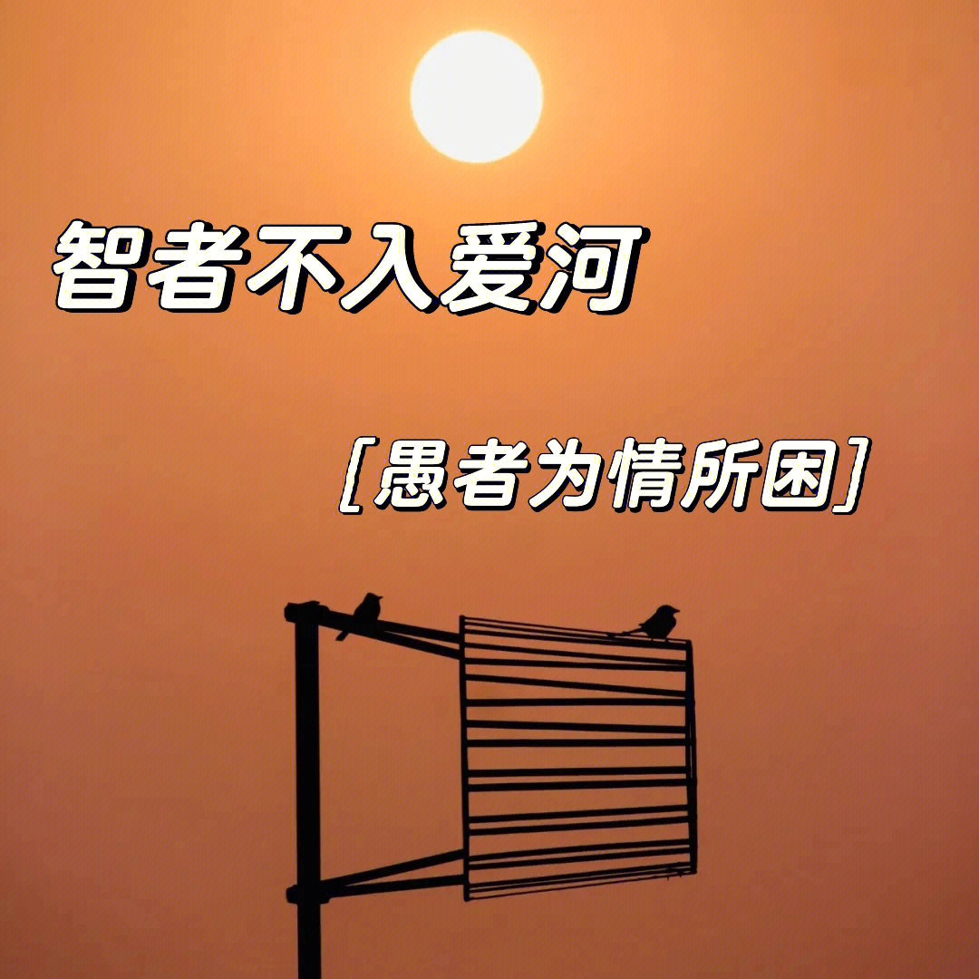 智者不入爱河下一句是什么_智者入爱河也能全身而退_智者不入爱河上一句