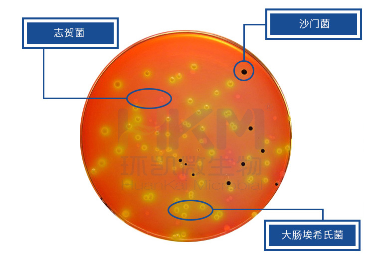 我的世界蘑菇怎么种_蘑菇种植能赚钱吗_菇菇栽培世界中文版