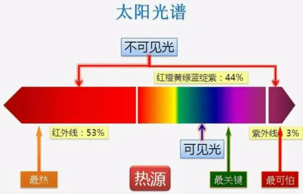 光源氏计划_光源氏计划合法吗_光源氏计划国父