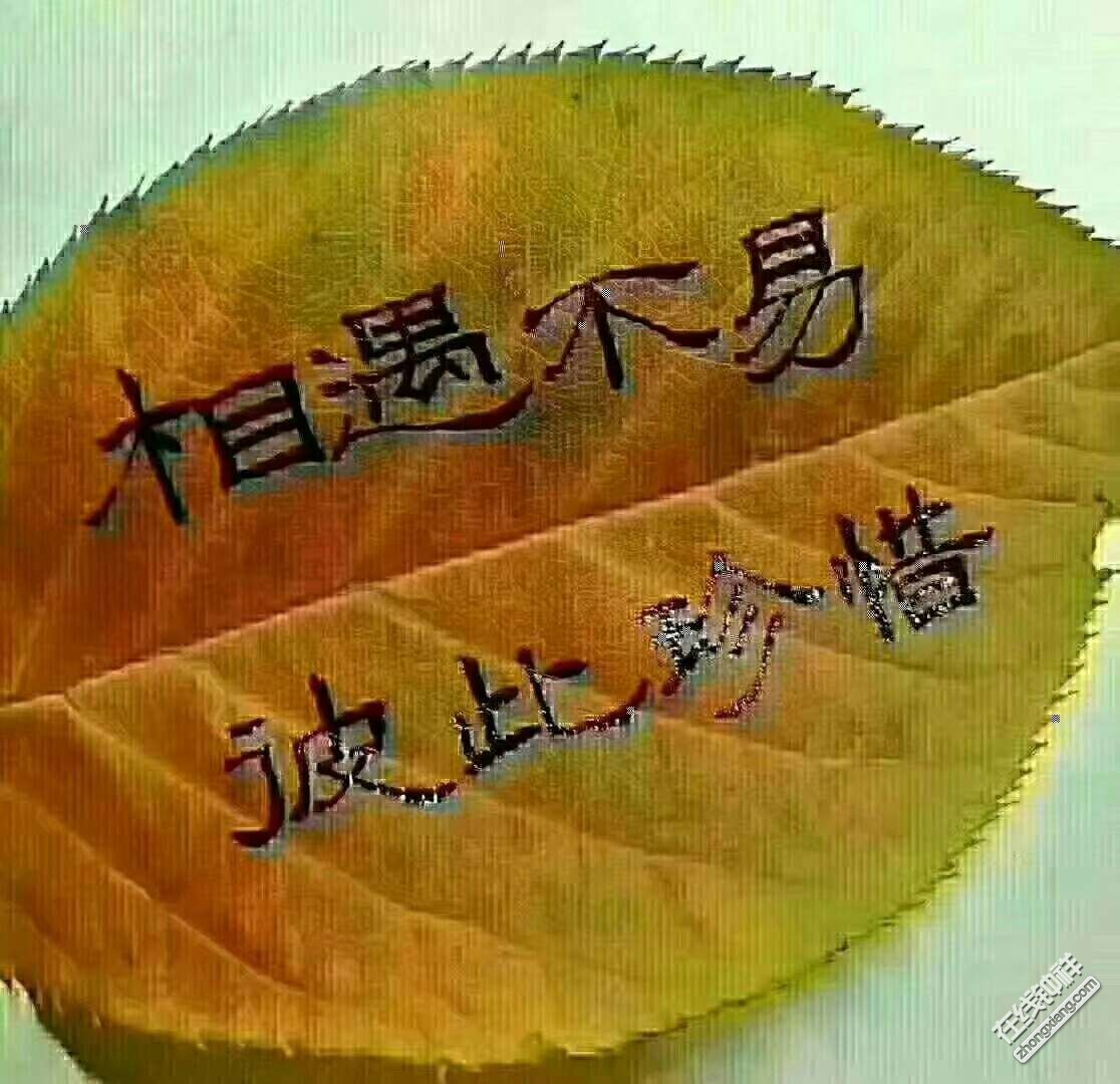 类似同校生的手机游戏_类似校园生活的游戏_同校生相关游戏