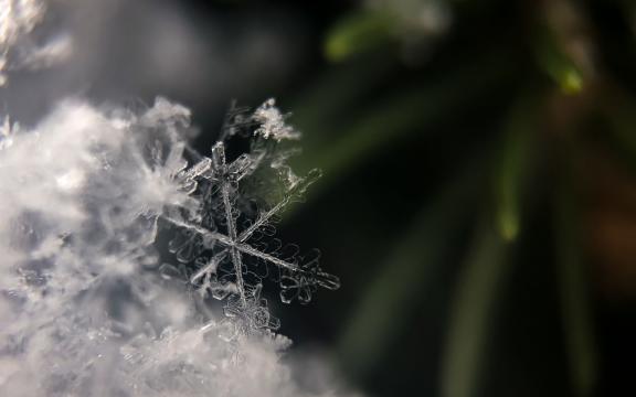 费南雪_费南雪是什么意思_费南雪和玛德琳区别