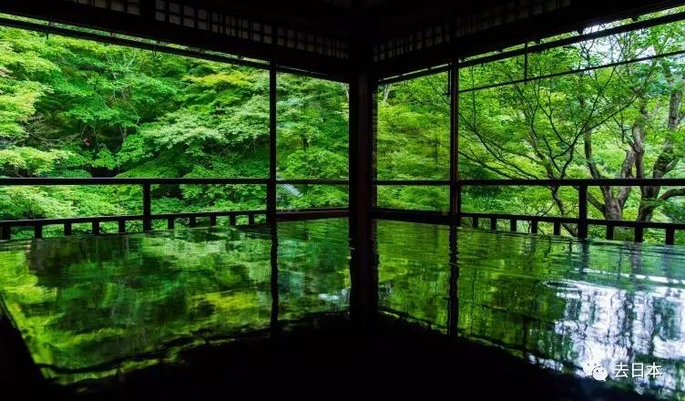 琉璃神社手机可进吗_琉璃神社游戏手机可以玩吗_琉璃神社的游戏手机能玩嘛