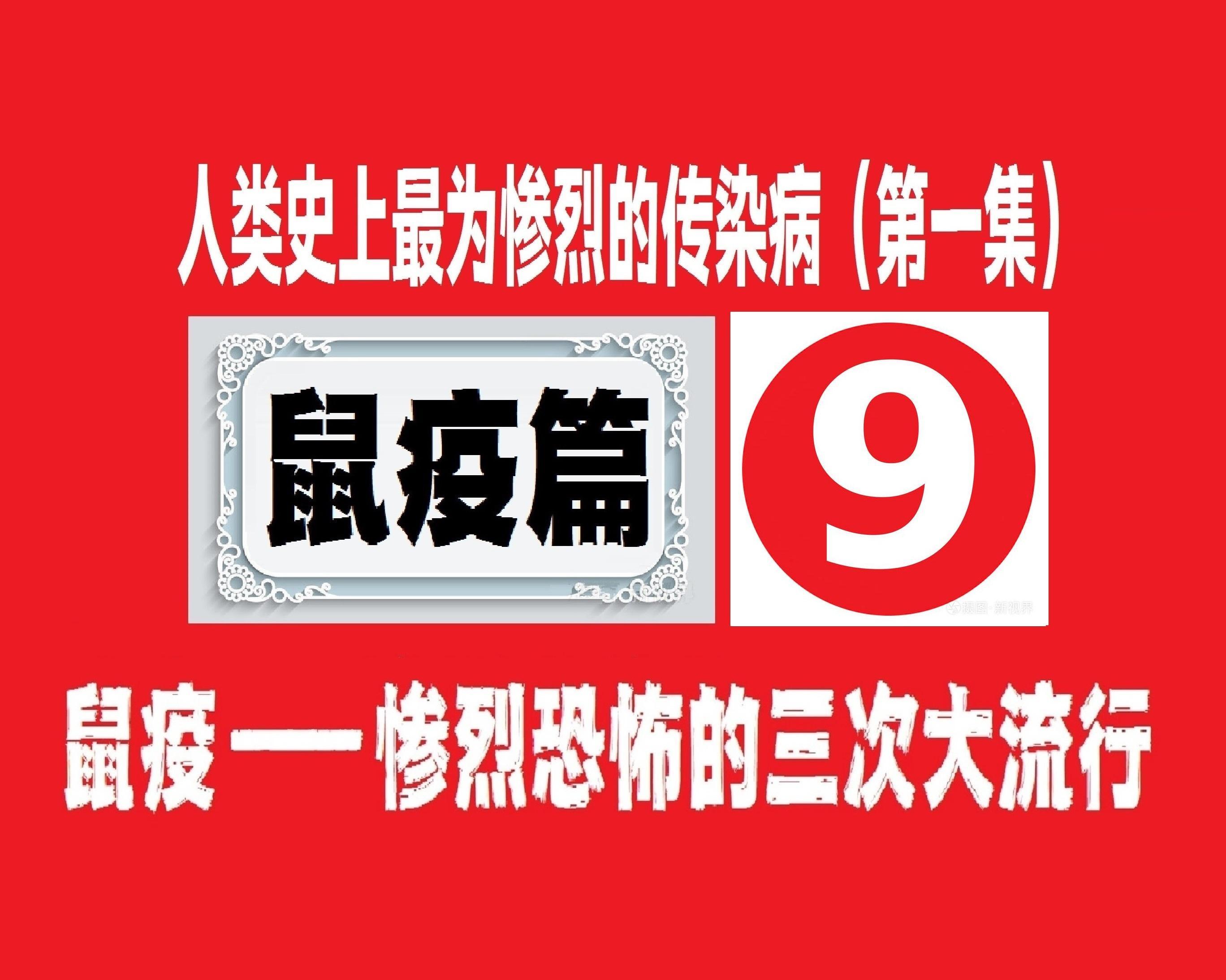 游戏黑死病_黑死病背景的游戏_黑死病背景的手机游戏