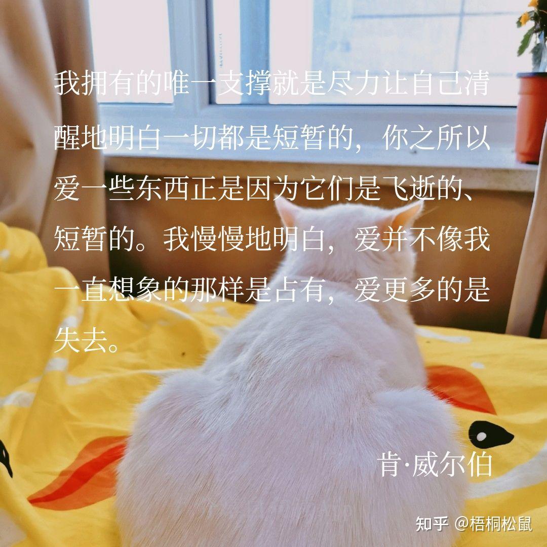 卡娜赫拉_卡娜阿鲁佩洛娜_卡娜