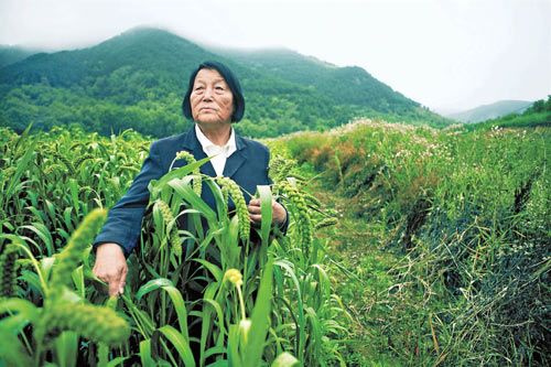 十年一品温如言番外言净_田言_秦时明月田言同人小说