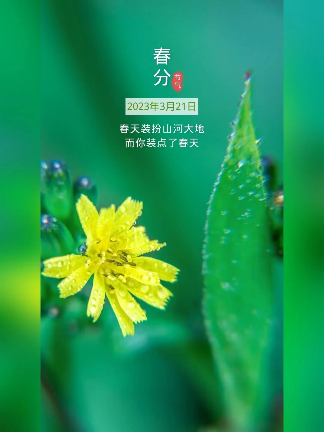 春分开什么花_鸣子花春吸奶图片_在春分开的花有哪些