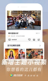 梅花视频历史版本 