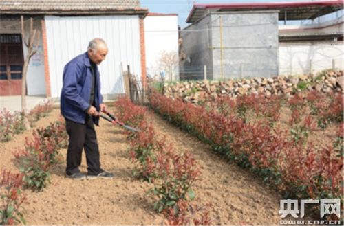 跳跃之王老版本 