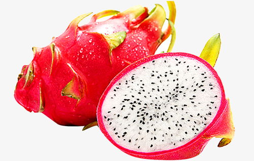 火龙果影视app官方版下载安装2022 