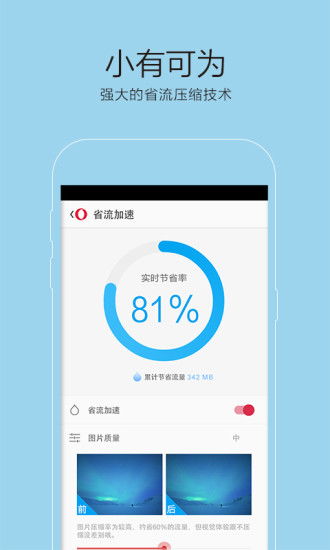 欧朋浏览器国际版 