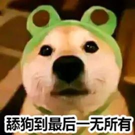小狗的糖果冒险 