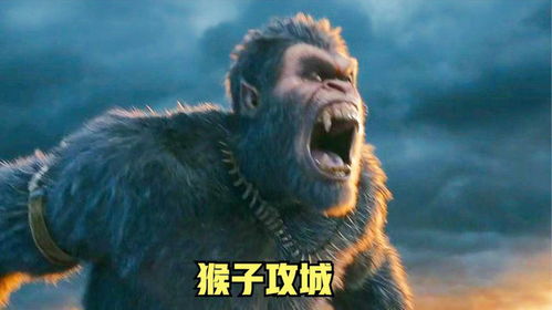 狗子影视app下载 
