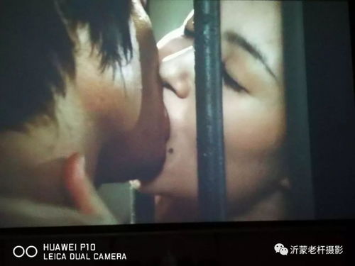 CAD万能看图王 