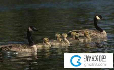 划水游戏词,畅享划水游戏乐趣