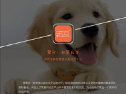 美国zoom动物游戏最新版 