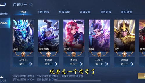 王者荣耀极光辅助 